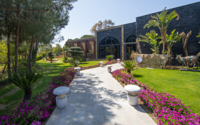 Construcción de residencias de lujo con jardines